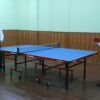 queen-table-tennis-table-500x500